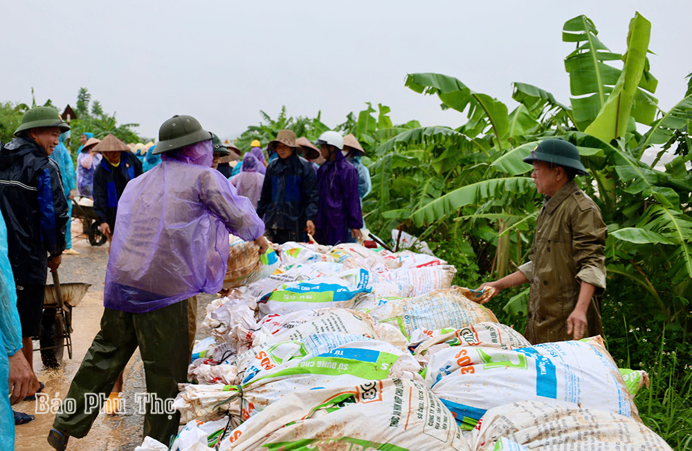 Kiểm tra công tác phòng chống lũ tại huyện Đoan Hùng