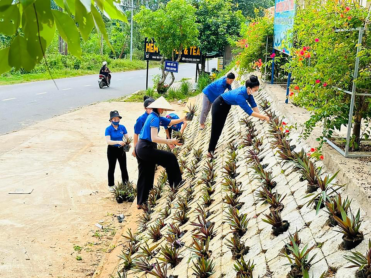 Tạo tiền đề vững chắc để đưa thị trấn Krông Klang phát triển bền vững