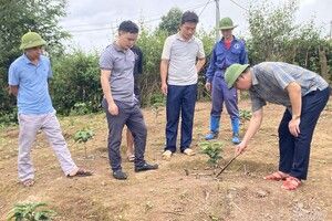 Cán bộ gần dân, việc khó thành dễ