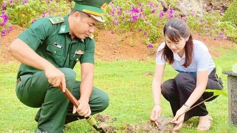 Phường Hà Tiên trồng 2.000 cây xanh