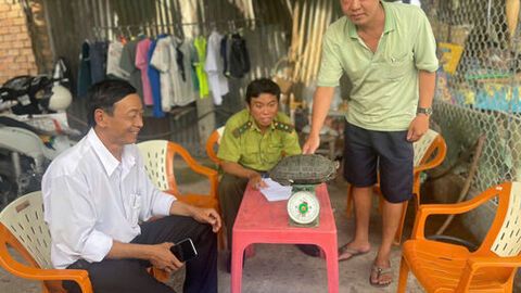 Người dân xã Mỹ Hòa Hưng tự nguyện giao nộp cá thể rùa đất quý hiếm 