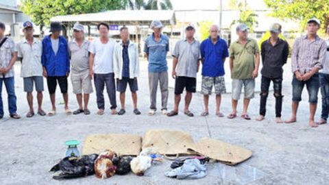 Công an phường Vĩnh Thông bắt quả tang 16 người đá gà ăn tiền