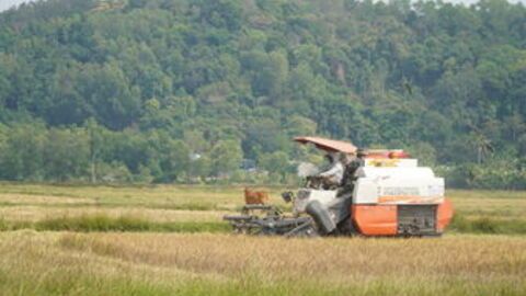 Kinh tế phường Hà Tiên tăng trưởng khá cao