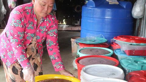 Nâng tầm đặc sản quê hương