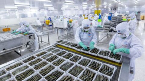 An Giang tăng tốc cuối năm