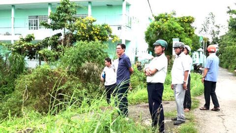 Phường Tịnh Biên chủ động ứng phó bão lũ và bảo vệ lúa vụ hè thu năm 2025