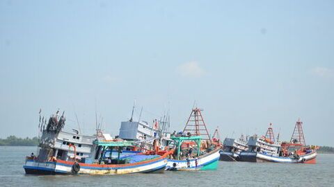 [Infographic] Những điều cần biết khi ngư dân tham gia khai thác thủy sản 