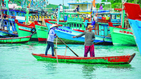 Nhịp sống ở cảng cá An Thới 