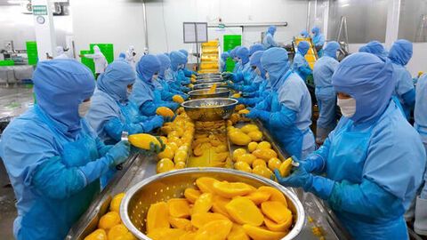 Antesco vươn ra thị trường thế giới