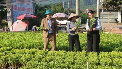 Đảng bộ xã Yên Định: Tạo bứt phá trong phát triển kinh tế - xã hội