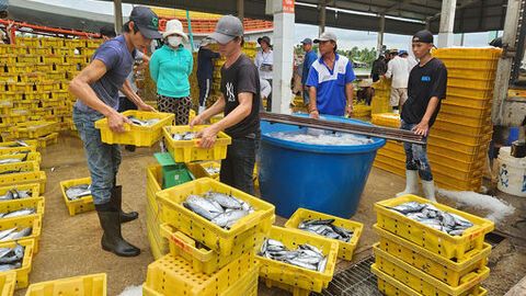 Chuyến biển đầu năm