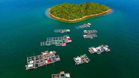 Xây dựng An Giang phát triển khá