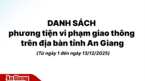 Danh sách phương tiện vi phạm giao thông trên địa bàn tỉnh An Giang từ ngày 1 đến ngày 13/12/2025