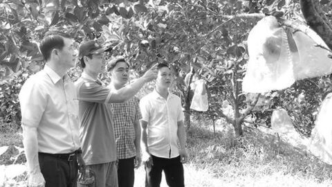 Chung sức dựng xây An Giang kỷ nguyên mới - Bài 2: Đại đoàn kết, sức mạnh bứt phá