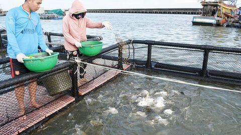 Từ tầm nhìn đến hành động