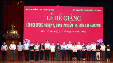 Bồi dưỡng kiến thức chuyên sâu về công tác kiểm tra, giám sát