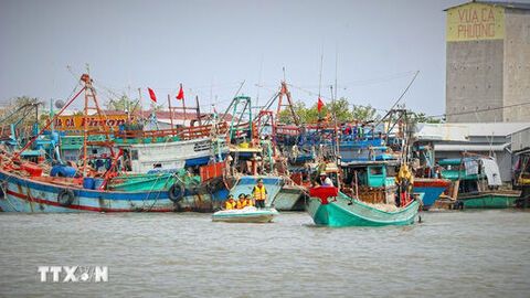 Gỡ "thẻ vàng" IUU: An Giang quyết tâm không để sót tàu cá “3 không” ra khơi