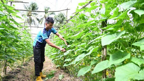 Hỗ trợ thanh niên dân tộc thiểu số phát triển kinh tế