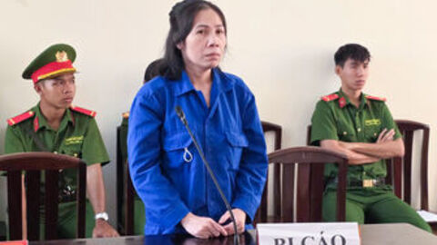 Lừa góp vốn kinh doanh đường, nữ bị cáo lãnh 13 năm tù