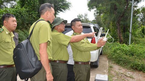 Tăng tuần tra, giảm vi phạm lâm luật