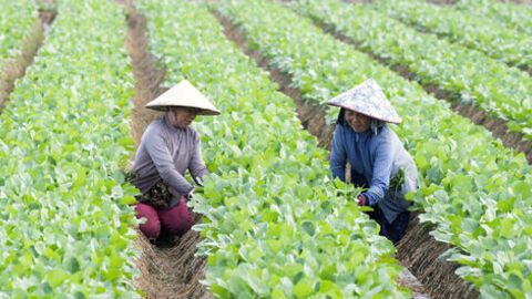 Bình Hòa phát huy nội lực vươn lên