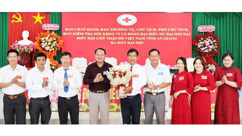 Hội Chữ thập đỏ xã Tiên Hải huy động phục vụ lợi ích dân sinh từ 100 triệu đồng/năm trở lên