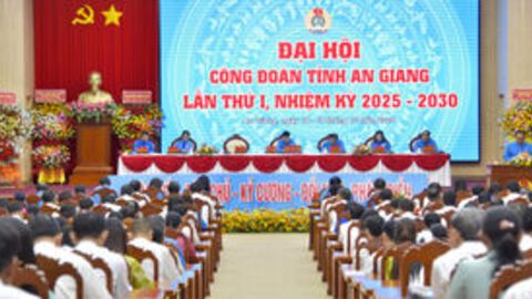 Công đoàn tỉnh An Giang có 116.002 đoàn viên, 785 công đoàn cơ sở, nghiệp đoàn
