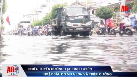 Nhiều tuyến đường tại Long Xuyên ngập sâu do mưa lớn và triều cường
