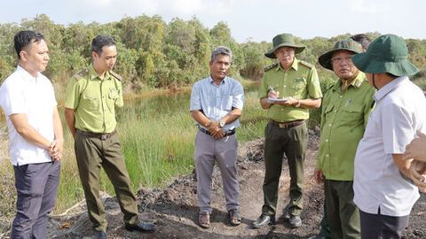 Giữ rừng Phú Mỹ mùa khô