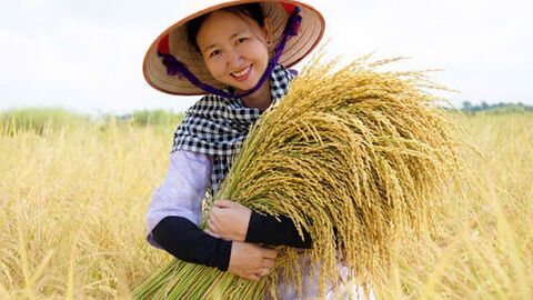 Ước mong đầu năm của người dân An Giang