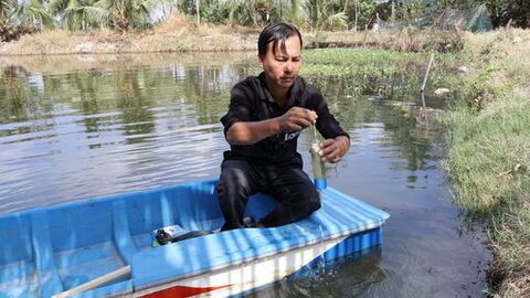 Mặn xâm nhập tại An Giang có xu thế tăng
