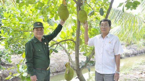 Từ ruộng vườn vươn lên