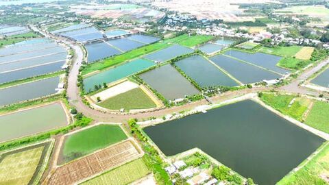 Phú Tân nỗ lực để phát triển xứng tầm