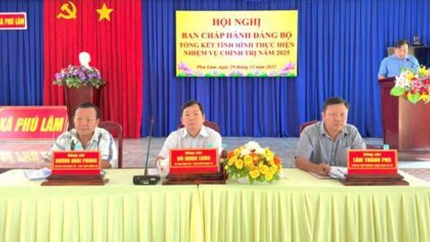 Xã Phú Lâm đạt nhiều kết quả tích cực trên các lĩnh vực trong năm 2025