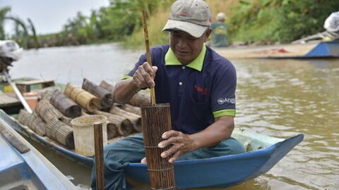 Săn cá bống dừa - nghề mưu sinh bập bềnh sóng nước