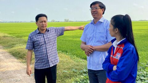 Bí thư Đảng ủy xã Tri Tôn kiểm tra tình hình sản xuất lúa vụ đông xuân 2025 - 2026