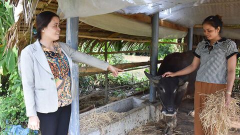 Những đảng viên “đi trước