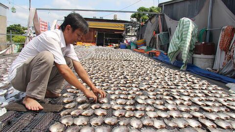 Làng khô “đỏ mắt” tìm cá