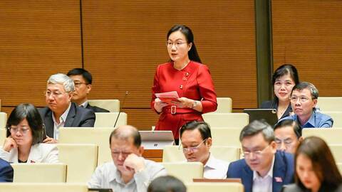 Đại biểu Đỗ Thị Việt Hà: Đề nghị nghiên cứu kỹ quy định về thời hạn kháng nghị trong thi hành án dân sự