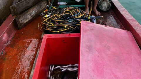 Xử phạt chủ tàu cá tàng trữ công cụ kích điện