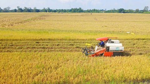 Xã Châu Phong thực hiện đạt và vượt 100% chỉ tiêu nghị quyết phát triển kinh tế - xã hội