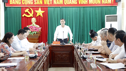Chủ tịch HĐND tỉnh Nguyễn Việt Oanh: Xã Tân Dĩnh khẩn trương lên lộ trình trở thành phường