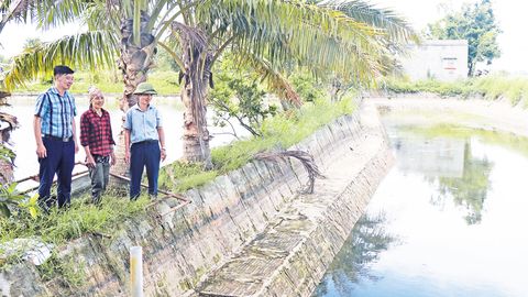 Chi bộ khu dân cư: Hạt nhân đoàn kết, tạo đồng thuận trong cộng đồng