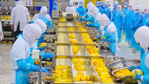 Thi đua thực chất, doanh nghiệp tăng tốc