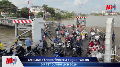 An Giang tăng cường phà trọng tải lớn dịp Tết Dương lịch 2026