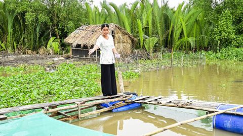 Vĩnh Hòa tập trung phát triển vùng sản xuất trọng điểm