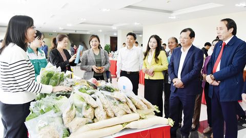 Chào mừng Đại hội Liên minh Hợp tác xã tỉnh lần thứ I, nhiệm kỳ 2025 - 2030: Phát triển kinh tế tập thể bền vững trong giai đoạn mới