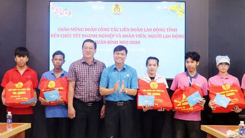 Liên đoàn Lao động tỉnh An Giang chúc tết doanh nghiệp, đoàn viên, người lao động