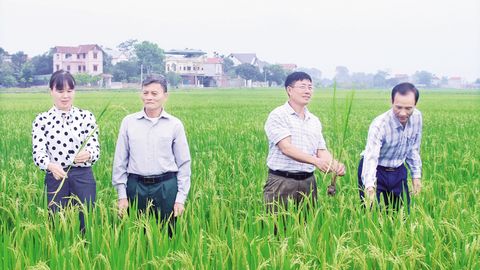 Nghị quyết chi bộ thôn: Rõ việc, tạo chuyển biến ở cơ sở