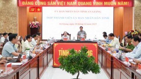 Thông qua nhiều nội dung quan trọng tại cuộc họp thành viên UBND tỉnh An Giang 
